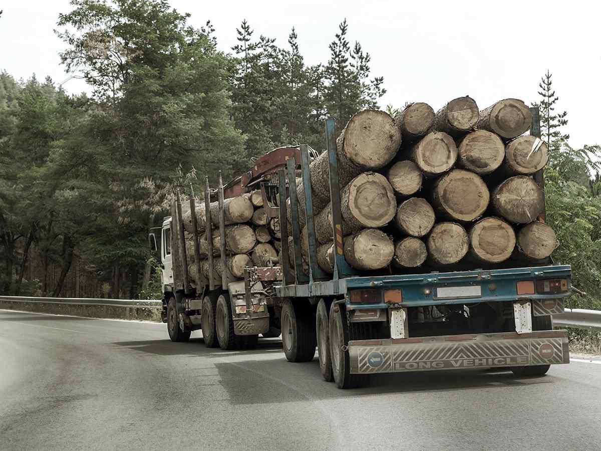 https://expressolvera.com/wp-content/uploads/2017/08/inner_big_trucks_01.jpg